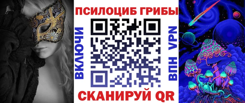 Псилоцибиновые грибы Psilocybe  даркнет формула  Кушва  купить закладку 